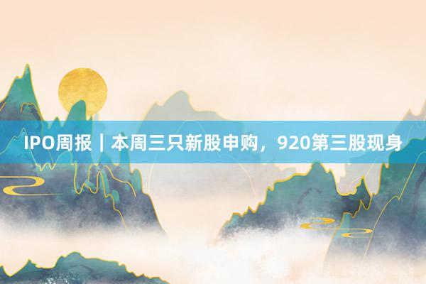 IPO周报｜本周三只新股申购，920第三股现身